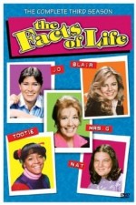Watch The Facts of Life Vidbull